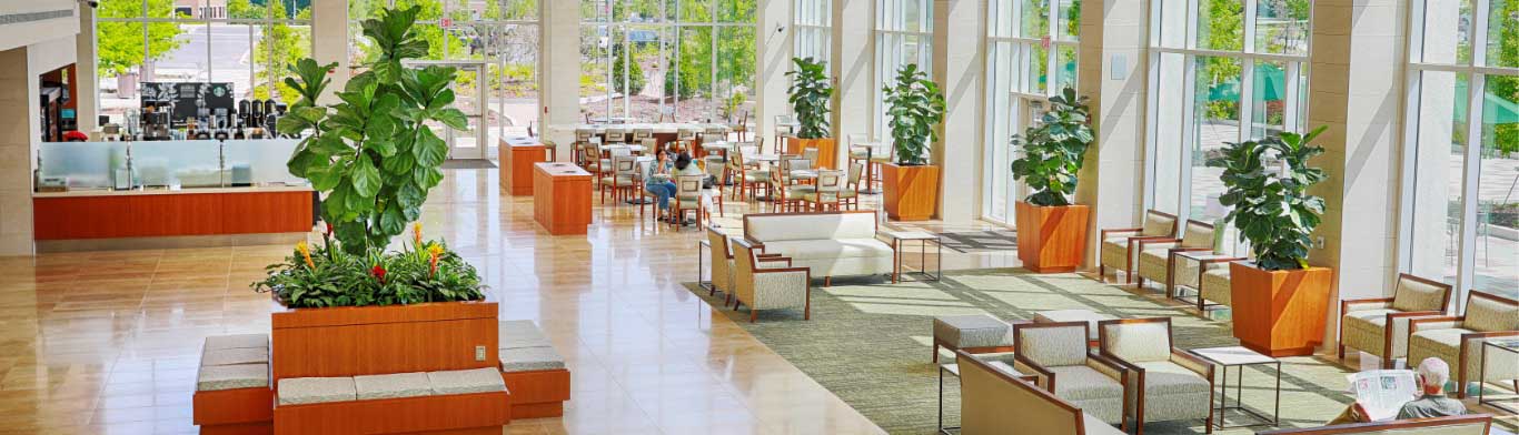  A sunny waiting area next to a Starbucks cafe in the North Tower of the Lexington Medical Center main campus.