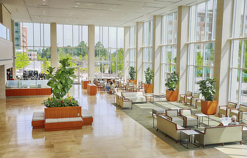 The lobby of the new LMC tower with huge class windows wall to wall letting in lots of light, offering couches and armchairs surrounded by greenery and a full view of the courtyard.